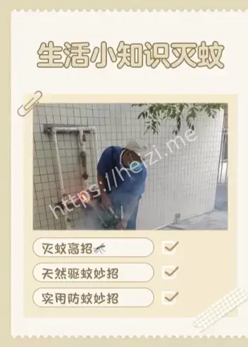 江门灭蚊行动部署